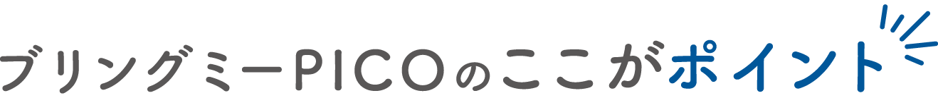 ブリングミーPICOのここがポイント