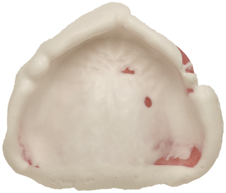 フィットチェッカーONE