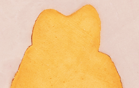 FEED技工用シリコーン80