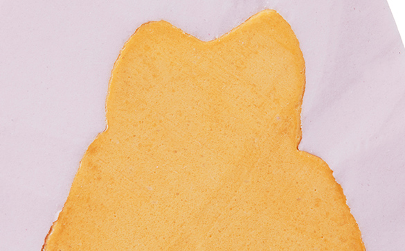 Premium Plusソールラボ