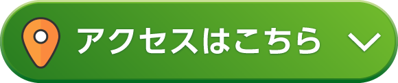 アクセスはこちら