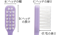 Dent1 flat311ヘッド