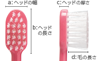Dent1 flat411ヘッド