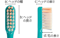 Shu Shu 臼歯・歯周ポケットみがきヘッド