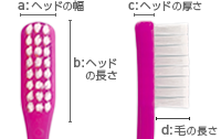 フィード ソエル歯ブラシ ベーシックヘッド