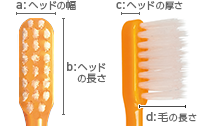 Shu Shu α テーパー毛ヘッド