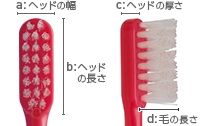 Shu Shu オルソヘッド