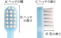 ソエル 歯ブラシ チャイルド(3～7歳)ヘッド