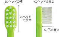 Shu Shu(3～6歳)ヘッド
