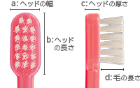 Shu Shu(6～12歳)ヘッド