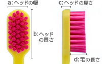 Shu&Shu 密毛 5400ヘッド
