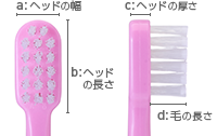 Shu&Shu(3～6才)ヘッド