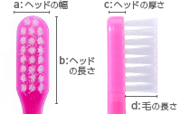 Shu&Shu ヘッド