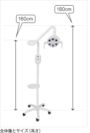 全体像とサイズ（高さ）