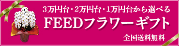 ３万円台・２万円台・１万円台から選べるFEEDフラワーギフト