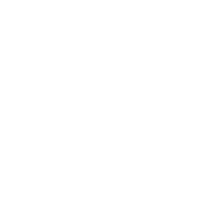 パルプチャンバーPulp Chamber