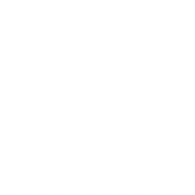 アピカルサージェリーApical Surgery