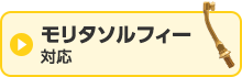 モリタソルフィー用はこちら