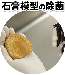 石膏模型の除菌