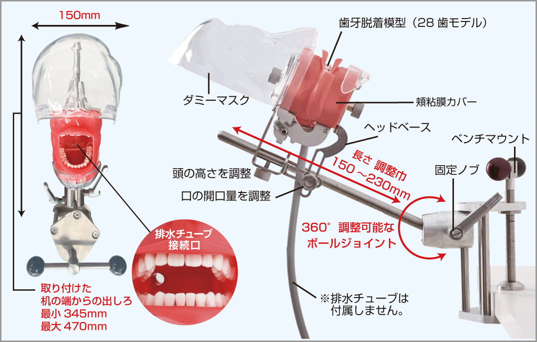 トレーニング用フェイスマネキン