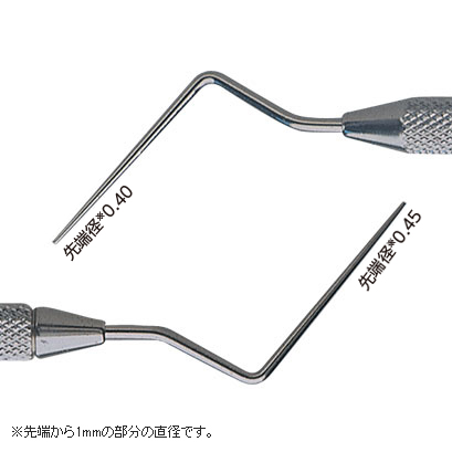 はじめての全部床義歯 根管洗浄 根管充塡 ペリオドンタルデブライドメント 歯内療法根管洗浄 | デンストプライシロナ 日本