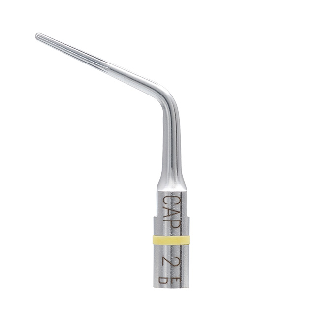 FEEDデンタル】エンドサクセス キャナル アクセス チップの通販