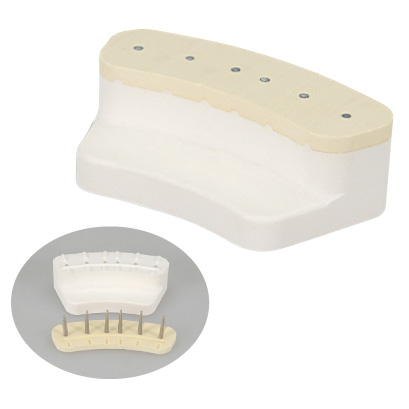 ☆[新品/未開封]◇だいちゃん 貼付模型【サンエス石膏株式会社