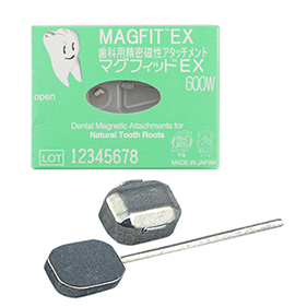 マグフィットEX