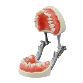 ニッシンの歯科通販（30件）｜FEEDデンタル