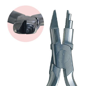 ヤングプライヤー