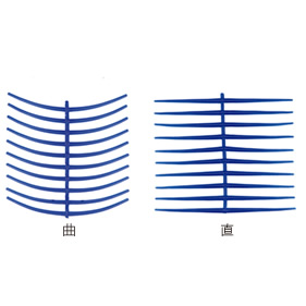 ワックスパターン リングクラスプ