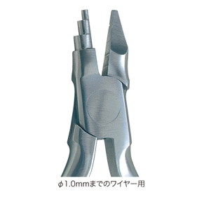 ヤングプライヤー 先端大