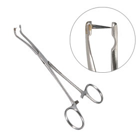 スポットクリップ