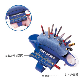 エンドリングⅡ