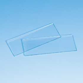 フィード スライドガラス