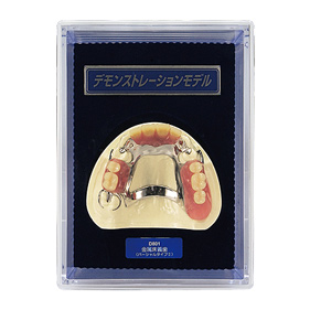 FEED デモンストレーションモデル