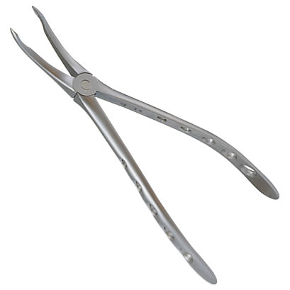 鉗子　【歯科医院】 61-9229-41 ツッパ鉗子 直 BOX 全長24cm TY-462C 【AXEL】 アズワン