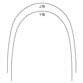 スーパーエラスチック ニッケルチタン アーチワイヤー 歯冠色 トゥルーフォームI
