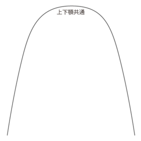 バイオフォーム