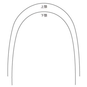 ヨーロッパフォーム
