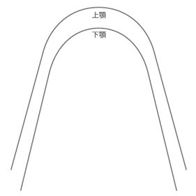 スタンダードフォーム
