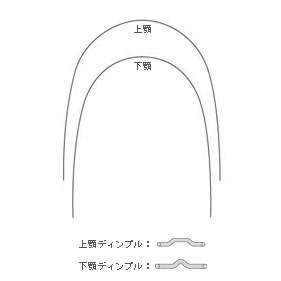スーパーエラスチック ニッケルチタン　アーチワイヤー トゥルーフォームI