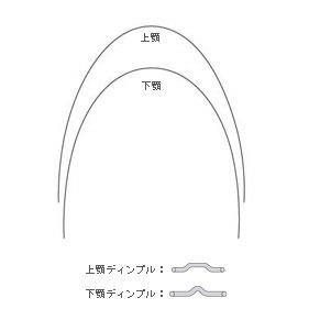 スーパーエラスチック ニッケルチタン アーチワイヤー トゥルーフォームII