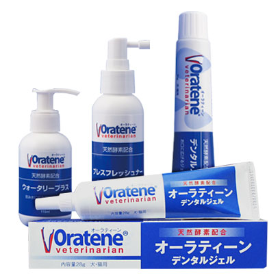 FEEDデンタル】オーラティーン デンタルケアシリーズの通販｜