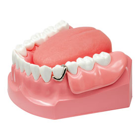 シートマスクと歯科模型セット 歯の解剖分野｜株式会社ニッシン｜歯科