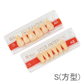 エクスレジン前歯 S(方型)
