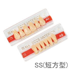 エクスレジン前歯 SS(短方型)