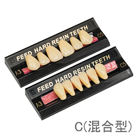 FEED硬質レジン歯 前歯 C(混合型)