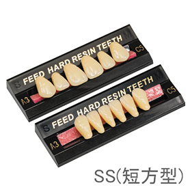 FEED硬質レジン歯 前歯 SS(短方型)