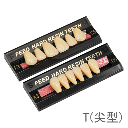 人工歯　レジン歯 ストロング前歯（硬質レジン歯）プレート【保険適用】【商品詳細